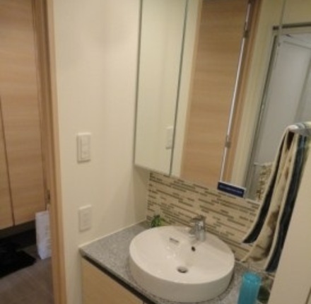 洗面設備　別部屋参考写真です
