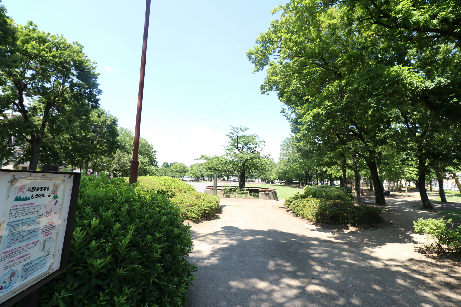 【平和荘の公園】