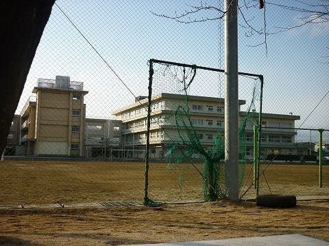 【エヴァーグリーンの中学校】