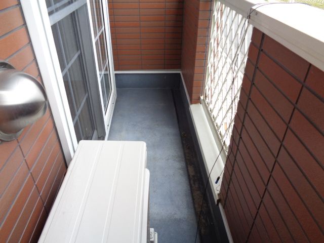 プラシード・コルソB_その他_2