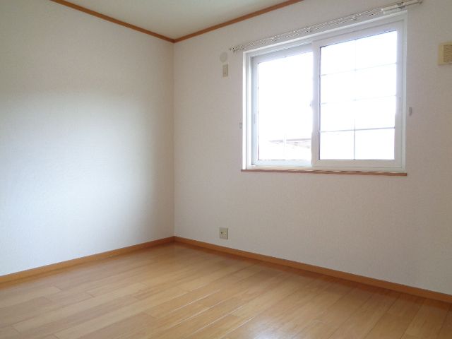 プラシード・コルソB_その他_11