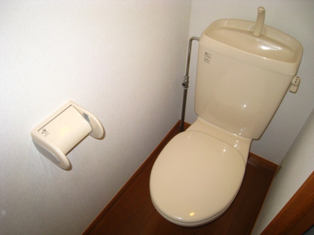 トイレ　同物件、別号室のものです。