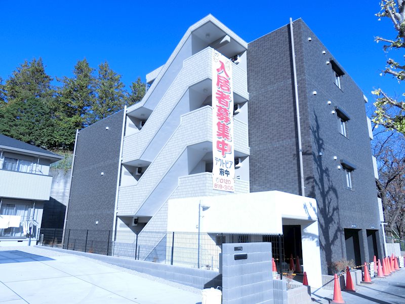 パール・ドール_トップ画像