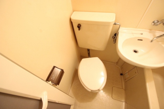 トイレ　※別号室の写真です