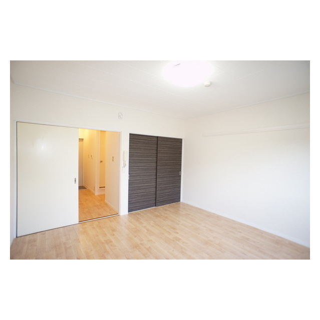 その他部屋・スペース　クローゼットの扉はお部屋により色違いがご