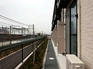 庭
