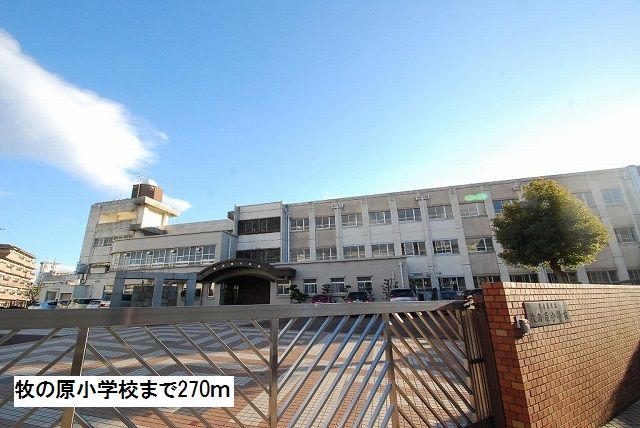 小学校　牧の原小学校（小学校）まで270m