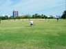 公園　梅小路公園（公園）まで399m