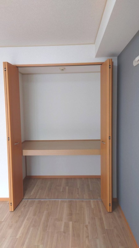 収納　リビング横の、洋室の収納