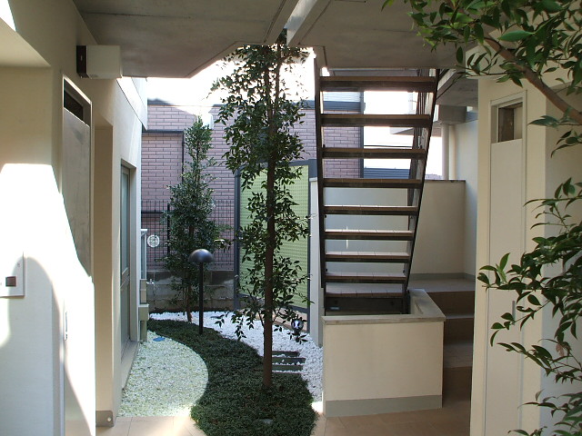 ロビー　中庭　夜間ライトアップされます♪