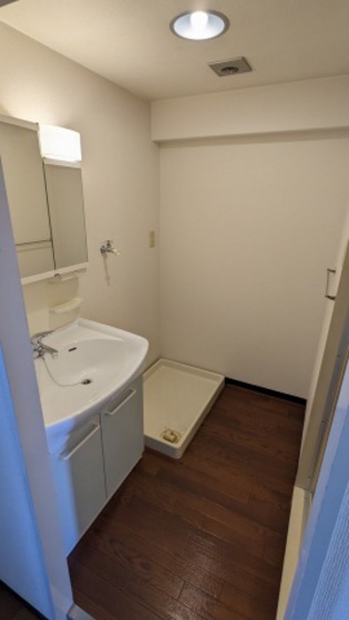 洗面設備　※別号室の写真です。