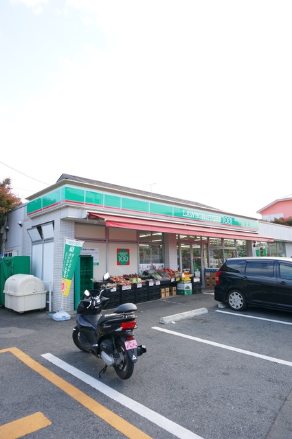 コンビニ　ローソンストア100秦野南矢名店（コンビニ）まで780m