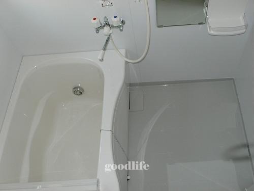 バス・シャワールーム　室内写真は別部屋です