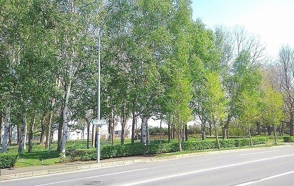 公園　屯田西公園（公園）まで200m