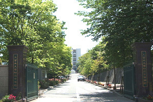 高校・高専　私立久留米大学附設高校（高校・高専）まで1339m