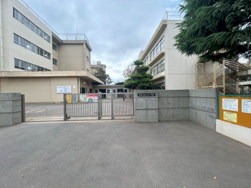 小学校　柏市立光ケ丘小学校（小学校）まで315m