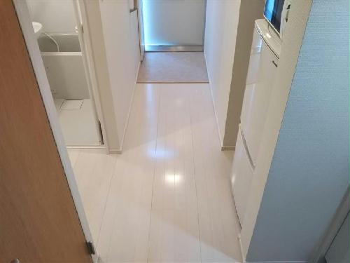 玄関　玄関側から居室に向けて。