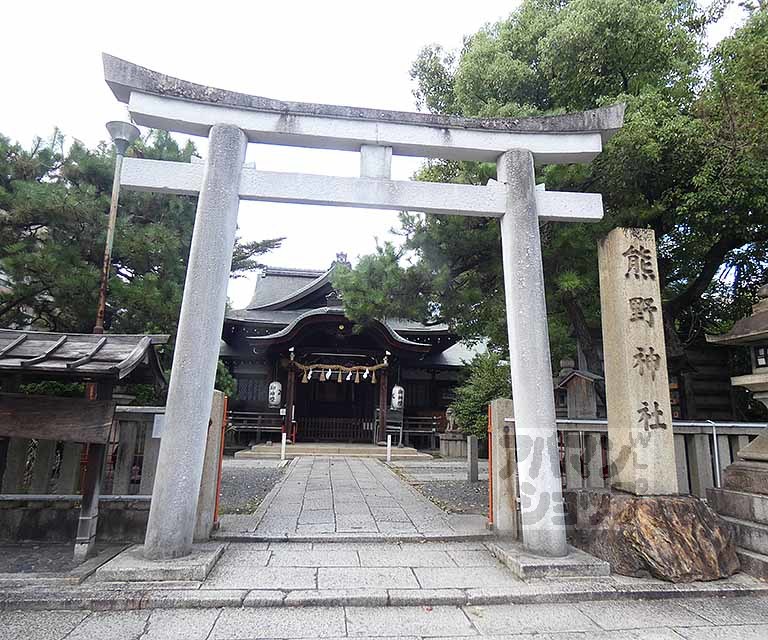 その他　熊野神社（その他）まで515m