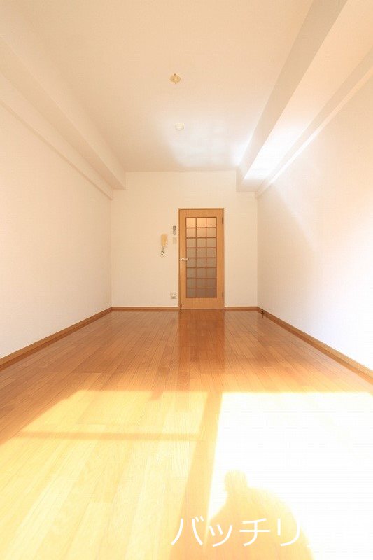 居室・リビング　＊画像は別部屋の為イメージ、現状を優先致します