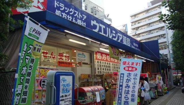 ドラックストア　ウエルシア相模大野店（ドラッグストア）まで795m