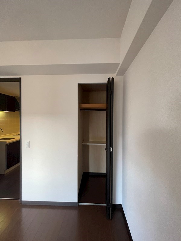 収納　※同タイプの他のお部屋です