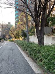 公園　大坂緑地（公園）まで250m