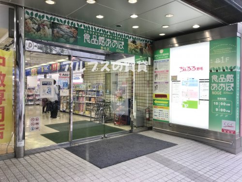 スーパー　食品館あおば・野毛店（スーパー）まで666m
