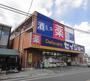 ドラックストア　デイリーケアセイジョー美女木店（ドラッグストア）まで313m