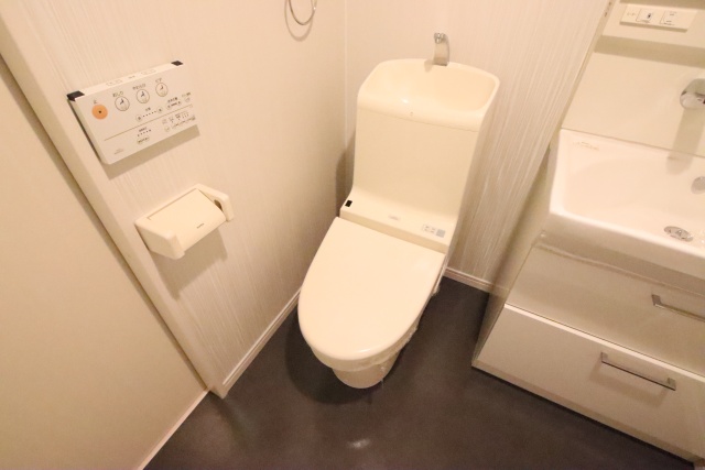 Housing Complex T2(ハウジンのトイレ写真