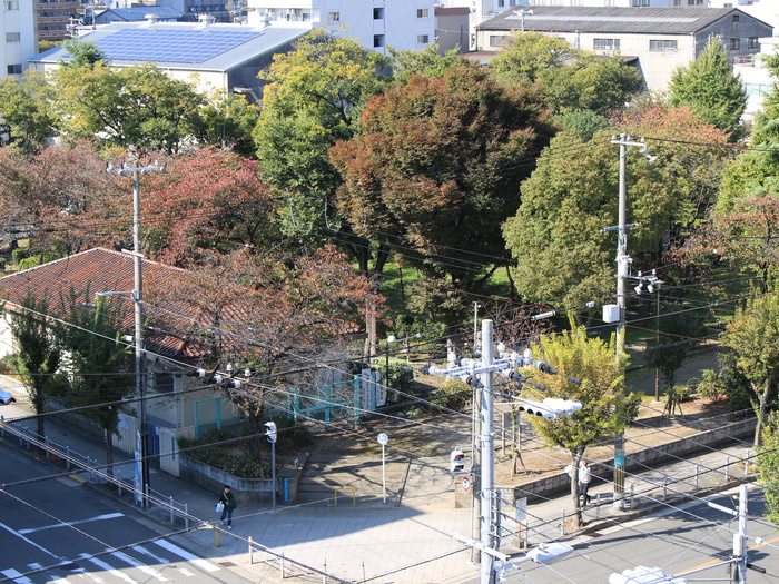 公園　大浪公園（公園）まで350m