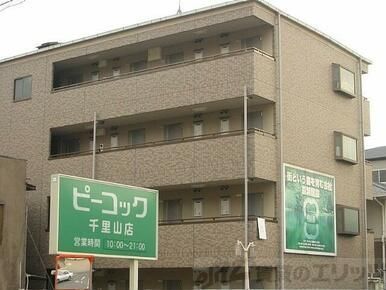 眺望　外観