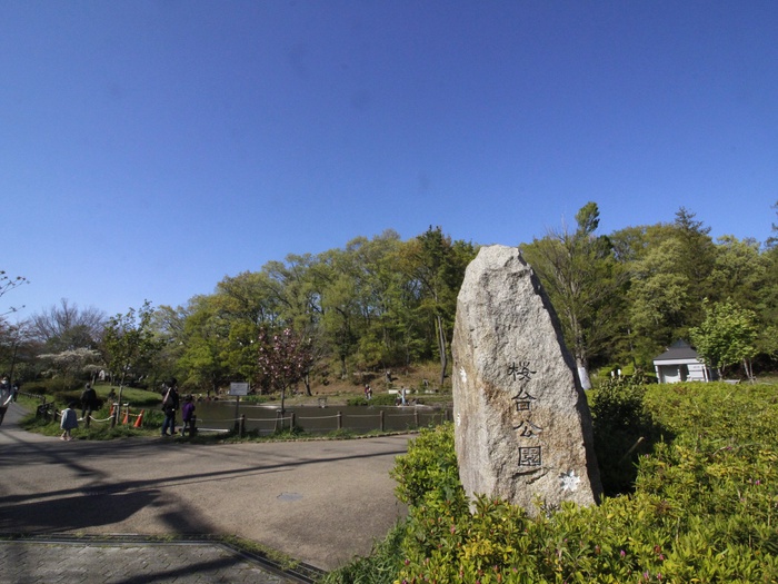 公園　桜台公園（公園）まで270m