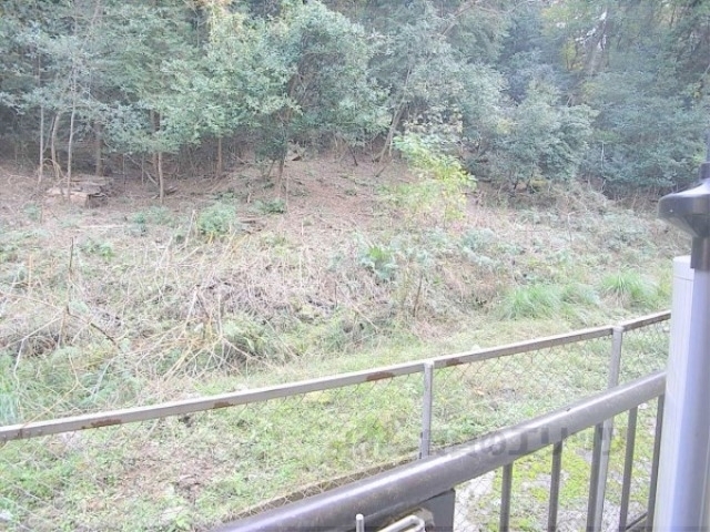 テラスICHIのその他写真
