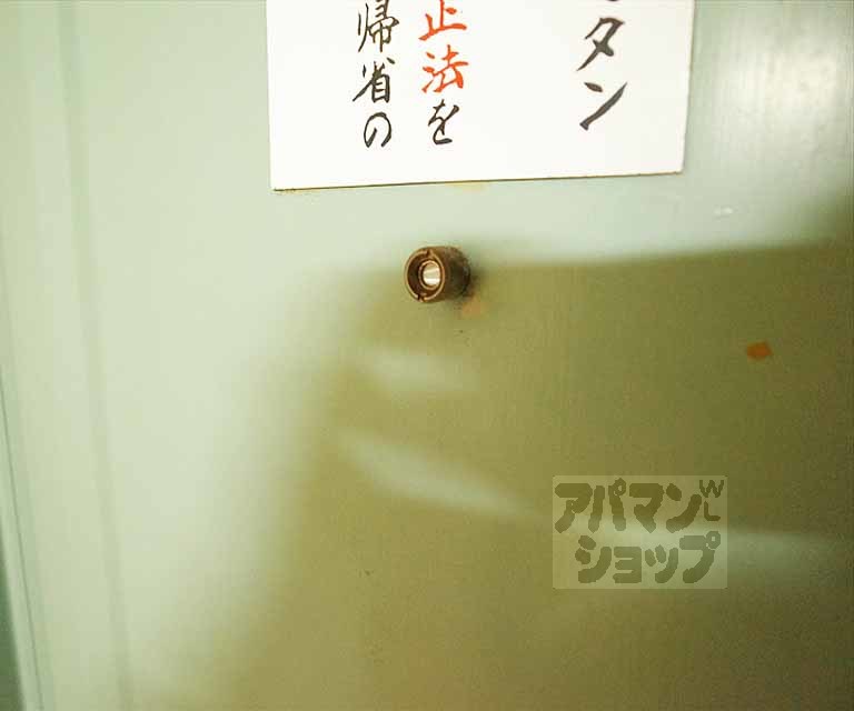 ドミトリーアルバのその他写真