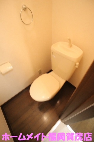 地下鉄七隈線 金山駅 徒歩16分 2階建 築26年のトイレ写真