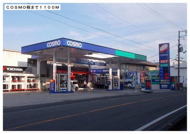 アルビオン_その他_10