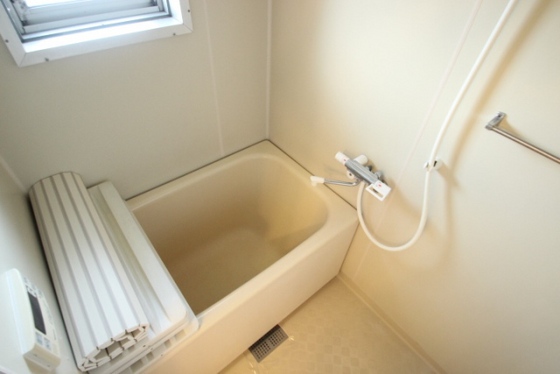 バス・シャワールーム　※別部屋の写真です