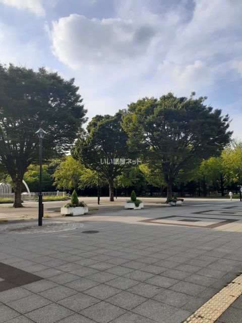 公園　光が丘公園（公園）まで1228m