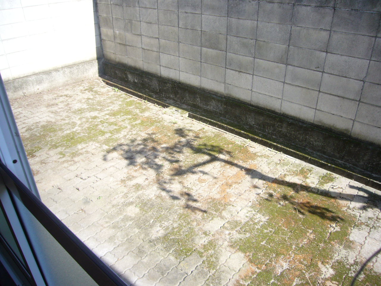 バルコニー　違う部屋の写真です。