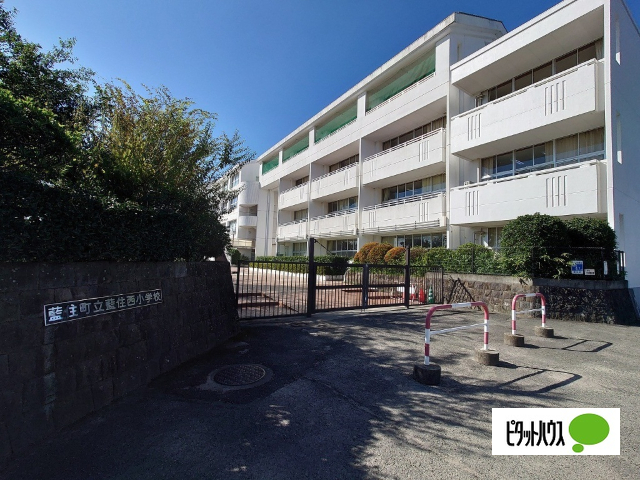 小学校　藍住町立藍住西小学校（小学校）まで414m