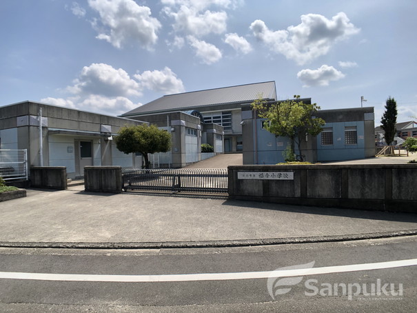 小学校　福音小学校（小学校）まで1001m