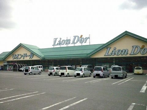 スーパー　リオン・ドール本宮店（スーパー）まで300m