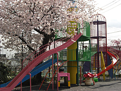 幼稚園・保育園　富士学院（幼稚園・保育園）まで791m