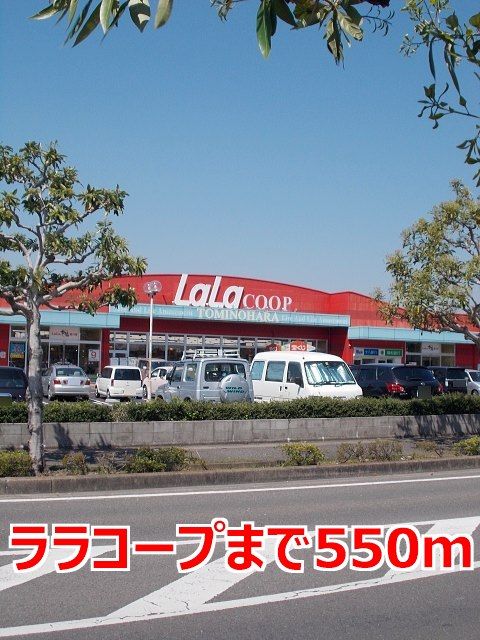 スーパー　ララコープ（スーパー）まで550m