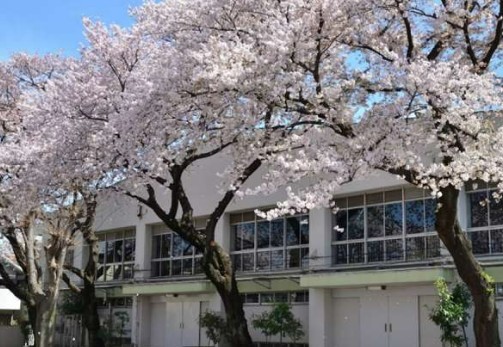 中学校　練馬区立南が丘中学校（中学校）まで1655m