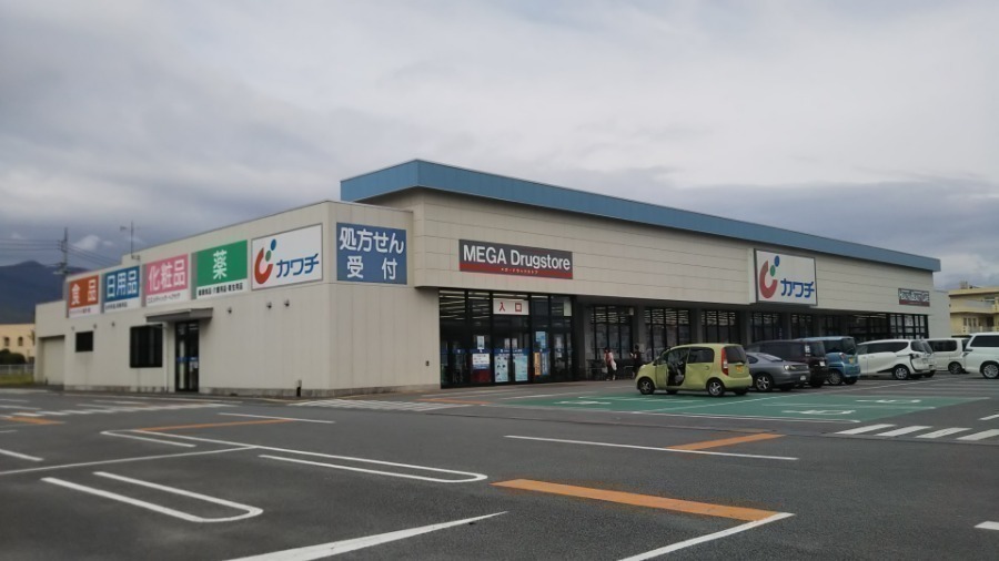 ドラックストア　カワチ薬品小瀬店（ドラッグストア）まで752m