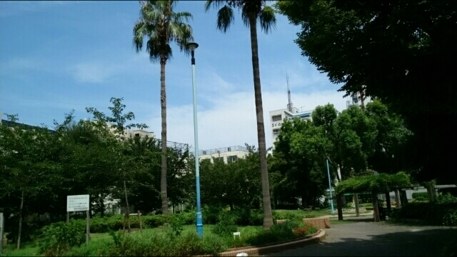 公園　日本橋公園（公園）まで280m