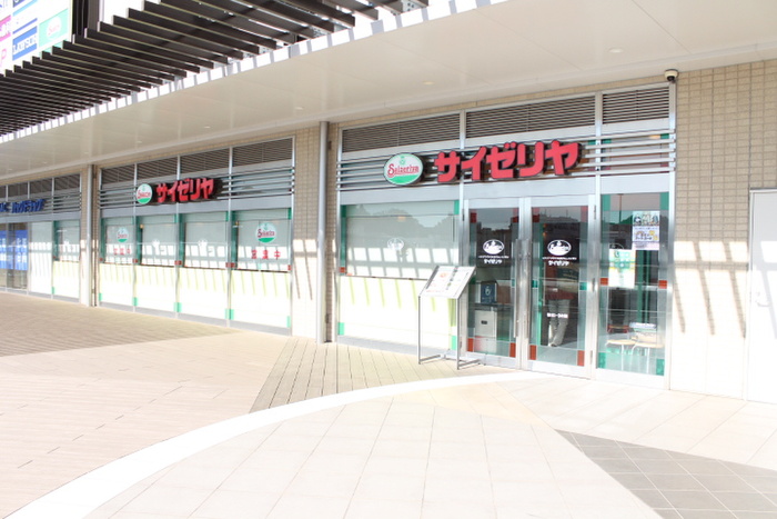 飲食店　サイゼリヤ（飲食店）まで805m
