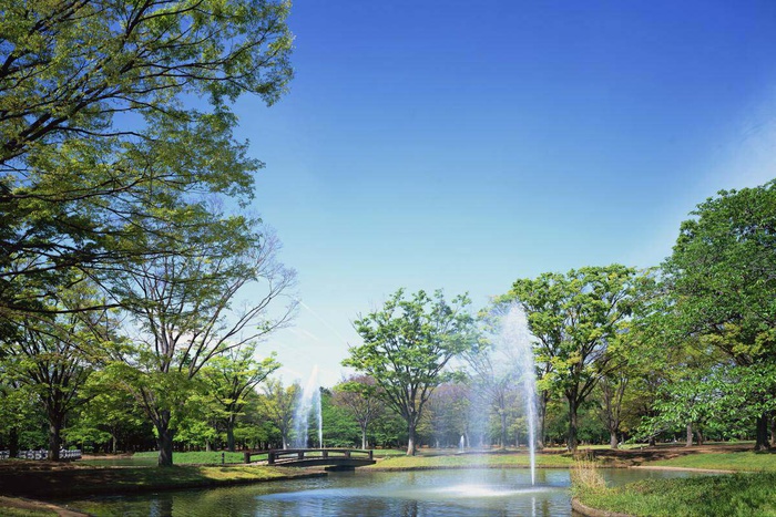 公園　代々木公園（公園）まで500m