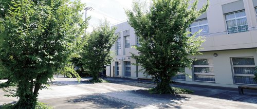 大学・短大　私立上智大学目白聖母キャンパス（大学・短大）まで428m